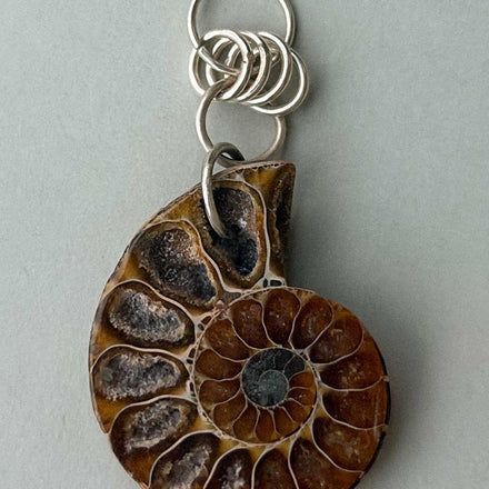 RELIC FOSSIL EARRING