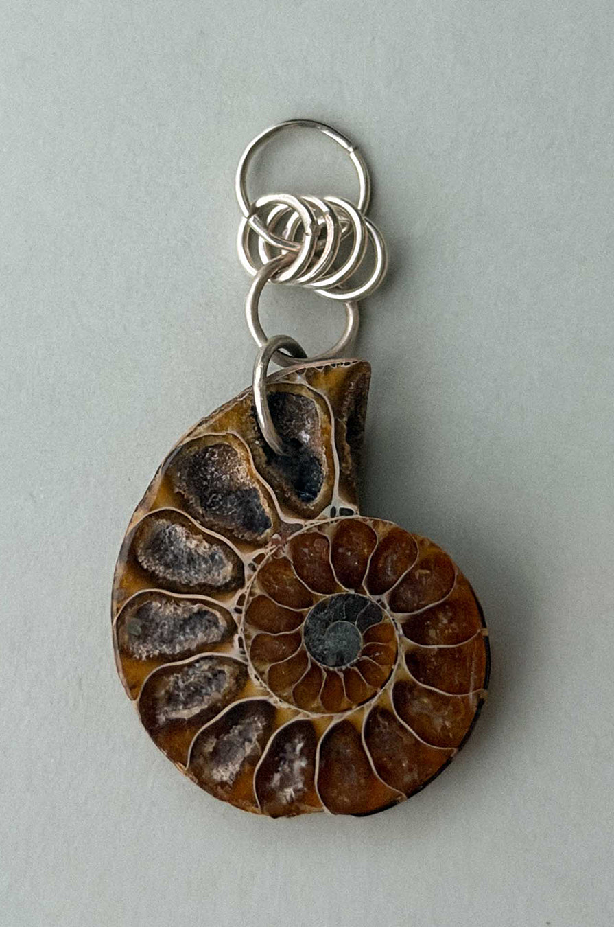 RELIC FOSSIL EARRING